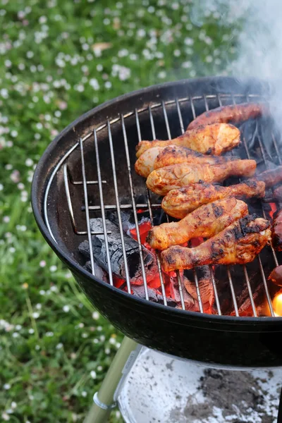 Barbecue Chicken Sausages Garden — Stockfoto