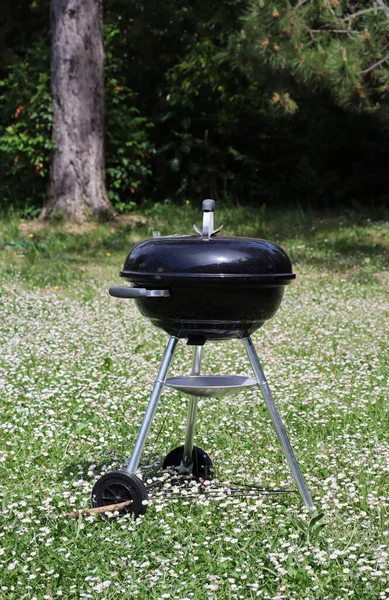 Güneşli bir günde bahçede barbekü