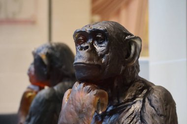 Daum ve Isabelle Carabantes 'ten güzel kristal heykel Cogito.