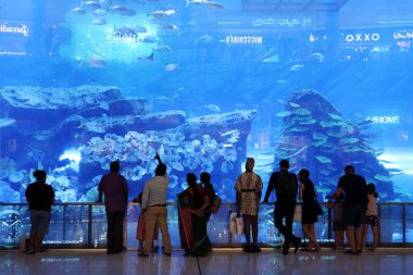 Dubai AVM 'deki dev akvaryum ve insanlar balıklara bakıyor.