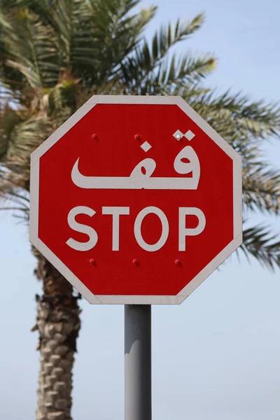 Stoppschild Dubai Arabisch Geschrieben Mit Einem Hintergrund Mit Palmen — Stockfoto