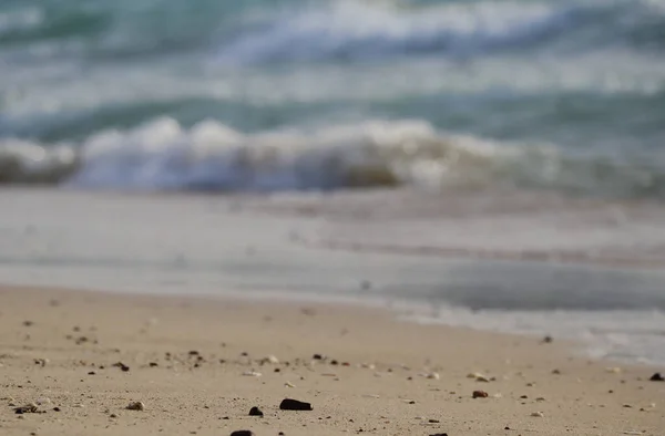 Primo Piano Una Spiaggia Sabbiosa Dubai Parzialmente Fuori Fuoco — Foto Stock