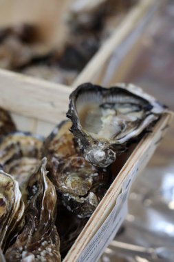 Balık dükkanında satılık istiridye. Kısmen bulanık ve odaklanmamış