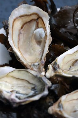 Açık istiridye ve limonlu bir tabağın yakın çekimi. Kısmen bulanık ve odaklanmamış