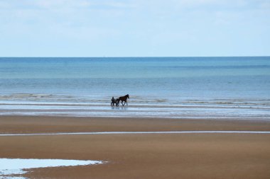 Adamın biri Cabourg sahilinde ata biniyor.