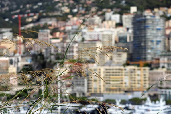 Monaco Monaco 2022 Vue Monaco Depuis Parc Sur Rocher Partiellement — Photo