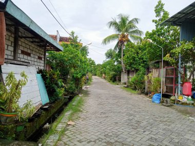 Kırsal kesimin ortasında büyük bir asfalt yol ve terk edilmiş gibi görünen yerel sakinlerin evleri var. Lamongan ilçesi Kuluran köyünde kırsal bir yer.