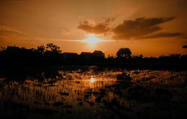 Beautiful Silhouette View Morning Sunrise Beautiful Reflections Lake Beautiful Rural — Foto de Stock