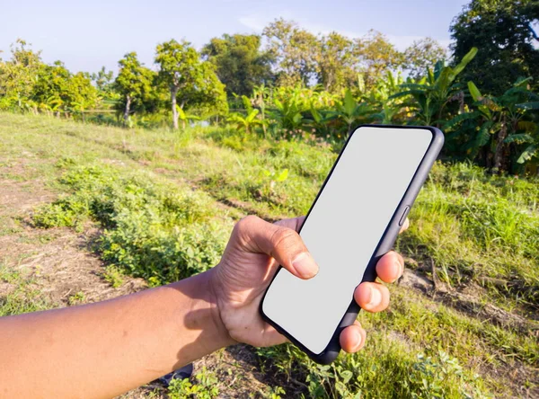 Mesajı girmek için boş ekranı olan akıllı telefonu tut. Dışarıda cep telefonuyla el ele tutuşmak. İş konsepti, teknoloji ve doğa