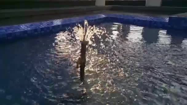 Faucet Fish Pond Shoots Water Afternoon — Αρχείο Βίντεο