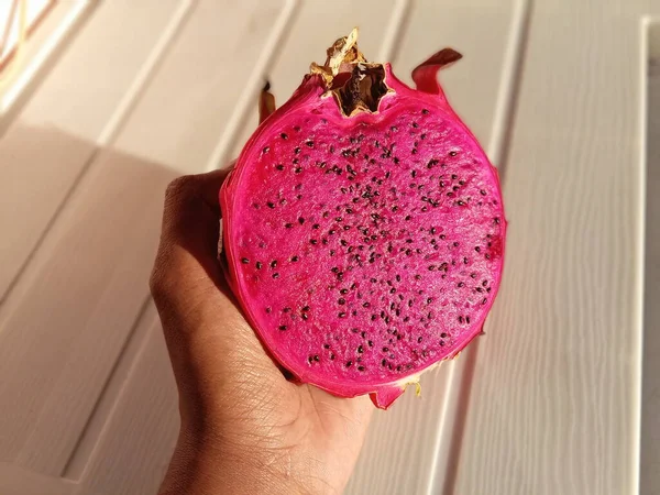 person holding a red dragon fruit, dragon fruit or fruit with a Latin name (Hylocereus polyrhizus), this fruit has vitamin C and antioxidants that can maintain body immunity