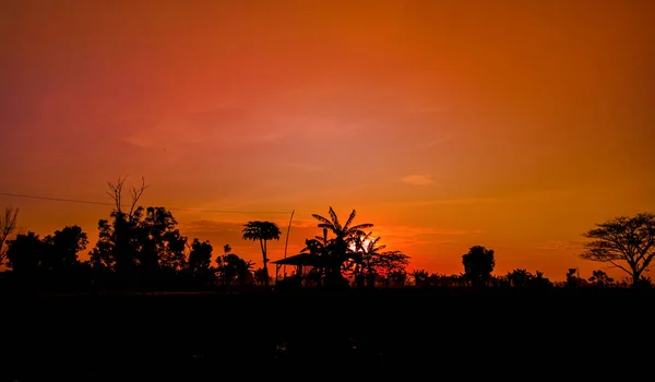 Silhouette Beautiful Nature Trees Sunrise Orange Sky — Stock Photo, Image