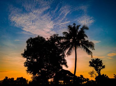 Panoramic tree silhouette at sunset. Tree silhouettes and sky clouds texture in orange and dark blue in the afternoon. Dramatic and beautiful silhouette of dark trees and sky at sunrise during golden hour. nature background at sunrise sky