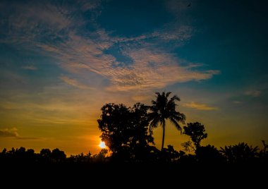 Panoramic tree silhouette at sunset. Tree silhouettes and sky clouds texture in orange and dark blue in the afternoon. Dramatic and beautiful silhouette of dark trees and sky at sunrise during golden hour. nature background at sunrise sky
