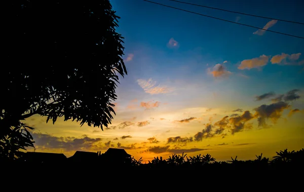 Panoramic Tree Silhouette Sunset Silhouette Trees Sky Clouds Yellow Dark — Stock fotografie