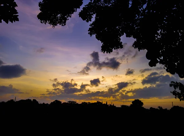 Panoramic tree silhouette at sunset. Silhouette of trees and sky clouds in yellow and dark blue in the afternoon. Silhouettes of dark trees and texture of thick clouds at a dramatic and beautiful sunrise during the golden hour