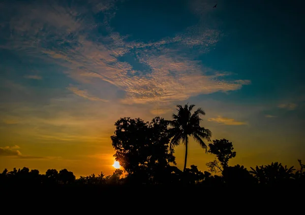 Panoramic Tree Silhouette Sunset Tree Silhouettes Sky Clouds Texture Orange — Stockfoto