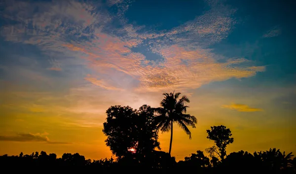 Panoramic Tree Silhouette Sunset Tree Silhouettes Sky Clouds Texture Orange — Fotografia de Stock