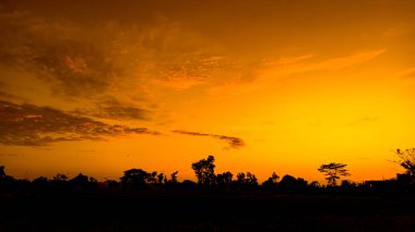 Natural scenery of orange sky in the afternoon. Silhouette of trees against orange sky background at sunrise