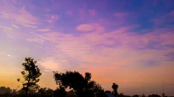 Natural scenery in the morning at sunrise and tree silhouette landscape