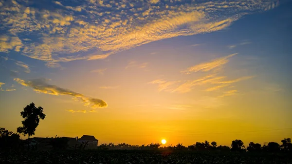 Natural scenery in the morning at sunrise and tree silhouette landscape