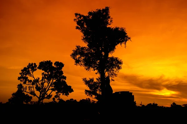 Naturpanorama Eines Wunderschönen Orangen Himmels Bei Sonnenuntergang Und Baumsilhouette Schöne — Stockfoto