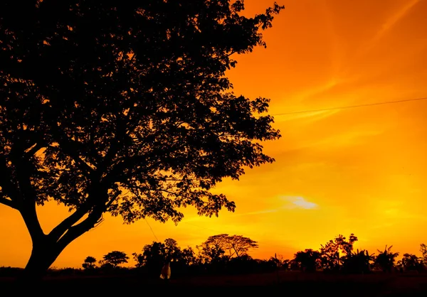 Естественная Панорама Красивого Оранжевого Неба Закате Силуэт Деревьев Красивая Природа — стоковое фото