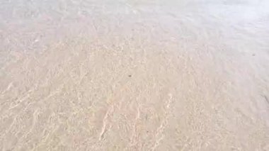 Küçük deniz suyu dalgaları kumsalda ileri geri hareket ediyor. Deniz dalgaları yaz tatilinde kumsalda yumuşak köpükle yavaşça hareket eder. 