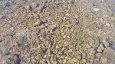 Nehrin dibinde küçük kayalar olan temiz nehir suyu.