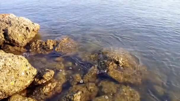 Хвилі Моря Які Яко Вдарили Великих Скелях Вдень — стокове відео