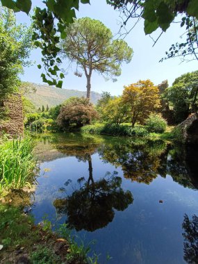 Ninfa Park - bir bahçedeki doğa, su, bitki örtüsü, fauna ve antik kalıntıların mükemmel karışımı.