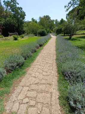 Ninfa Park - bir bahçedeki doğa, su, bitki örtüsü, fauna ve antik kalıntıların mükemmel karışımı.