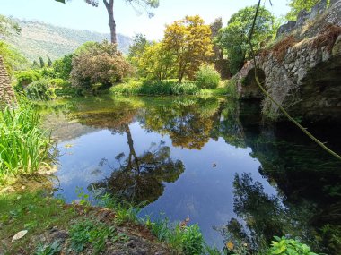 Ninfa Park - bir bahçedeki doğa, su, bitki örtüsü, fauna ve antik kalıntıların mükemmel karışımı.
