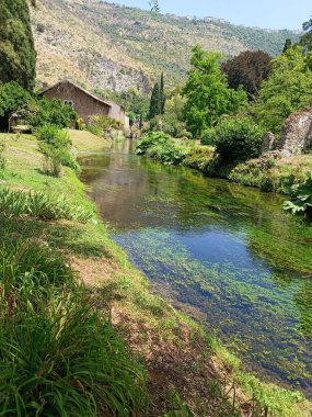 Ninfa Park - bir bahçedeki doğa, su, bitki örtüsü, fauna ve antik kalıntıların mükemmel karışımı.