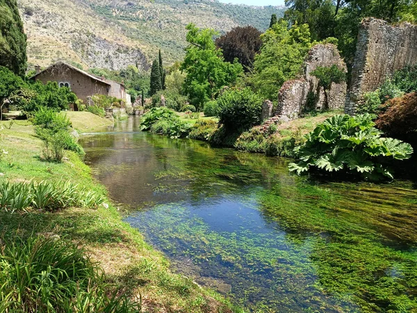 Ninfa Park - the perfect mix of Nature, water, flora, fauna and ancient ruins, in a garden