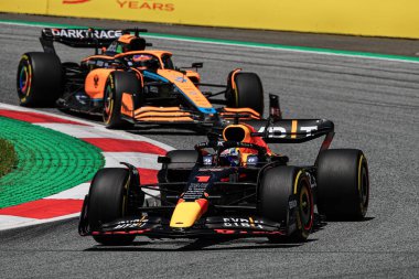 Max Verstappen (NED) Redbull Racing RB18