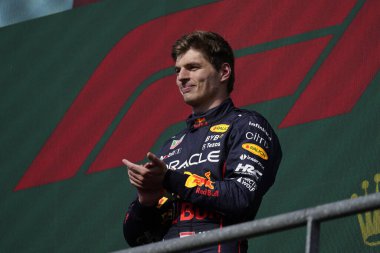  Max Verstappen (NED) Redbull Racing RB1