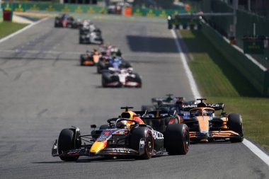  Max Verstappen (NED) Redbull Racing RB1