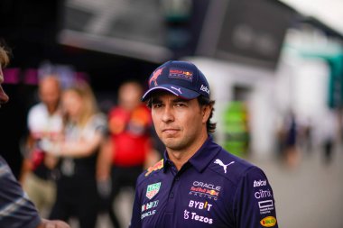 Sergio Perez (MEX) Redbull Racing RB1