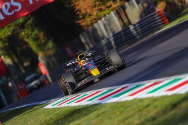 Max Verstappen (NED) Redbull Racing RB1