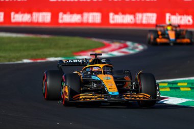 Daniel Ricciardo (AUS) McLaren MCL3