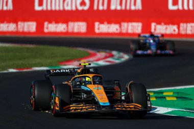 Lando Norris (GBR) McLaren MCL3