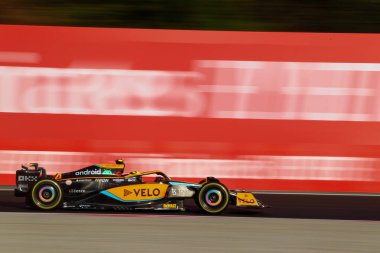 Lando Norris (GBR) McLaren MCL3