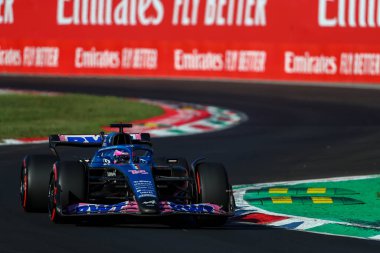 Fernando Alonso (SPA) Alp A52