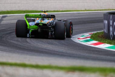 Lando Norris (GBR) McLaren MCL3