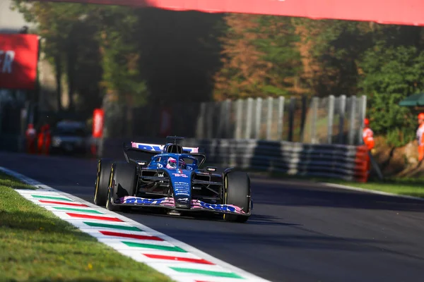 Fernando Alonso (SPA) Alp A52