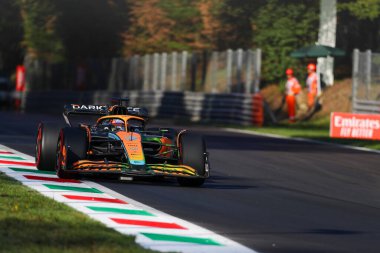 Daniel Ricciardo (AUS) McLaren MCL3