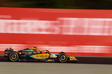 Lando Norris (GBR) McLaren MCL3