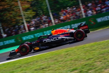  Sergio Perez (MEX) Redbull Racing RB18 