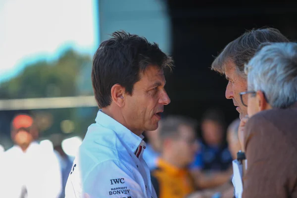 Toto Wolff Aut Mercedes Team Principal — Foto Stock